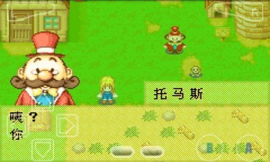 牧场物语蜜糖村