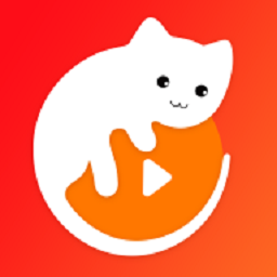 爱多猫