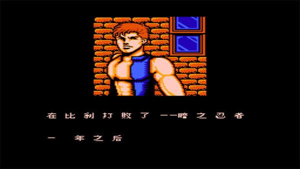 双截龙3：超级技能版