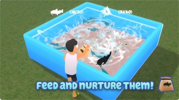 鲶鱼养殖场 鲶鱼养殖场