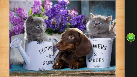 魔法拼图安卓官方版