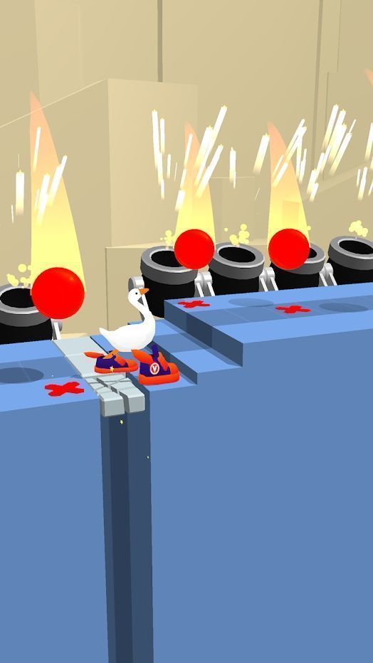Go Goose!