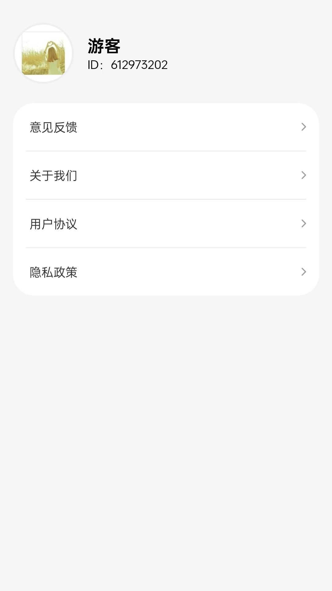 鸿运伴行