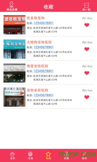 窝宠
