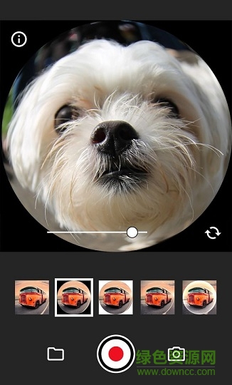 Fisheye Video
