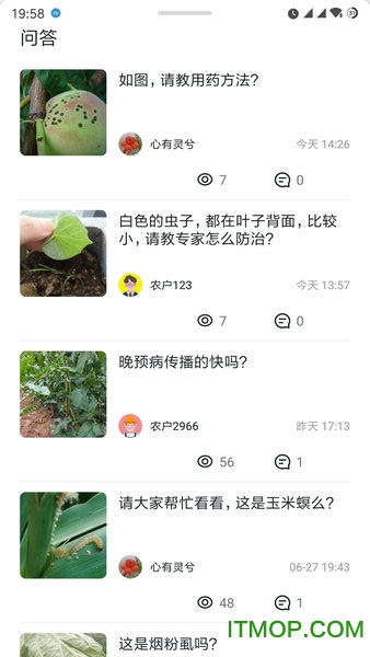 植小保