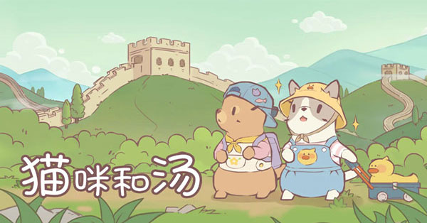 猫咪和汤安装器