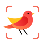 拍照识鸟app官方版