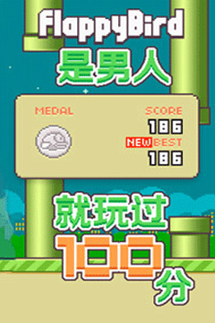 飞翔的小鸟