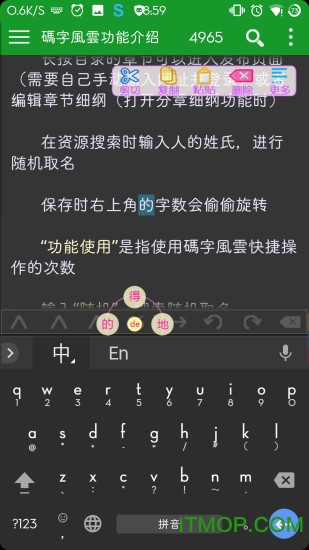 码字风云ios软件
