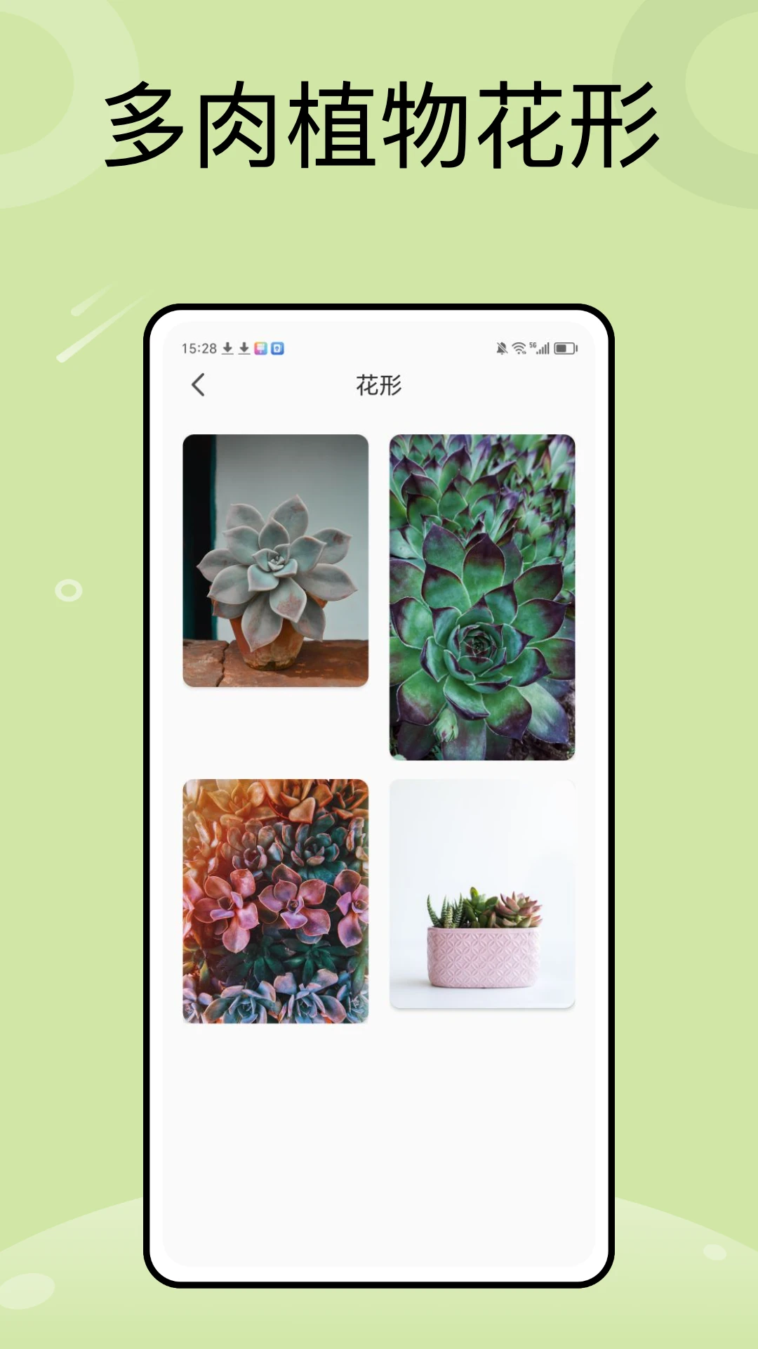 iNaturalist植物鉴定