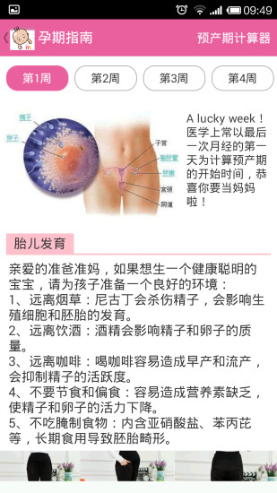 孕期全程日历 孕期全程日历