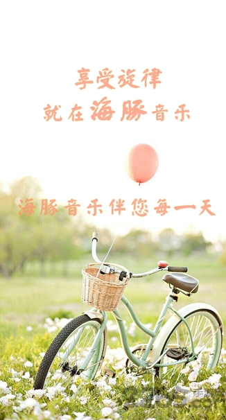 海豚音乐