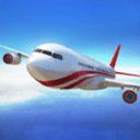 Flight Pilot安装器