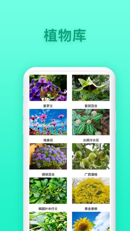 养花大全