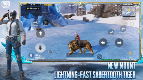 pubg越南服 直装版
