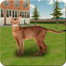 疯狂的猫与老鼠