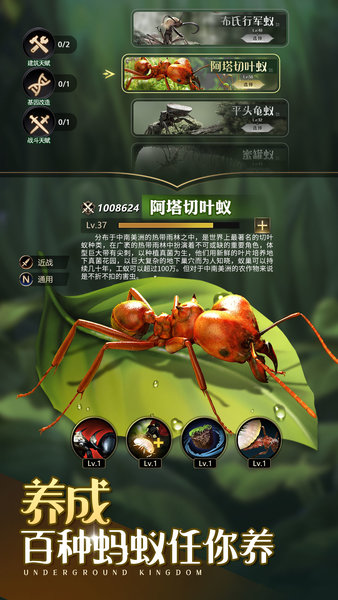 小小蚁国国际版最新版(The Ants)