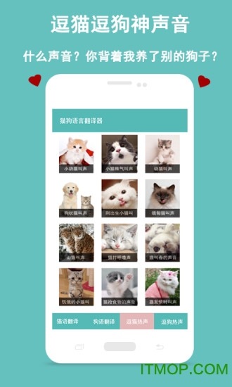 猫狗语言交流器