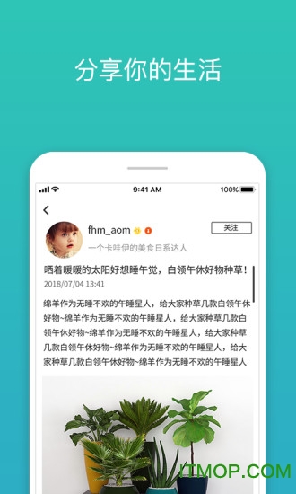 viivbook
