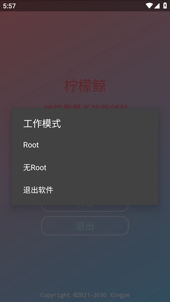 柠檬鲸