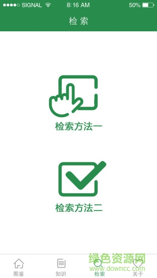 上海昆虫