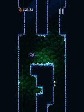 上床睡觉 上床睡觉