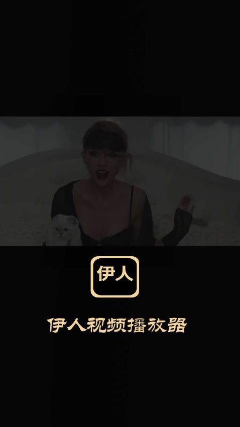 伊人视频播放器