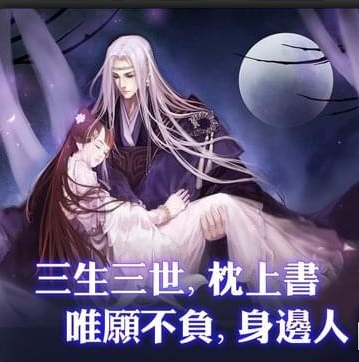 枕上书记