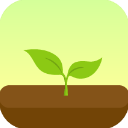 Forest 专注森林