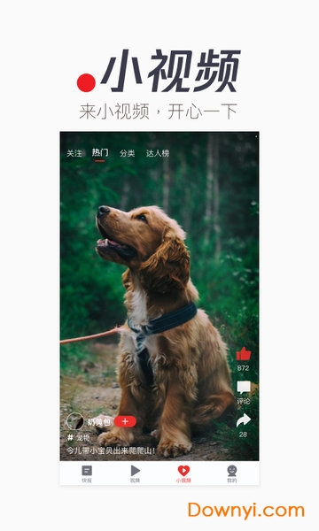 天天快报极速版app