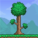 Terraria