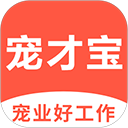 宠才宝