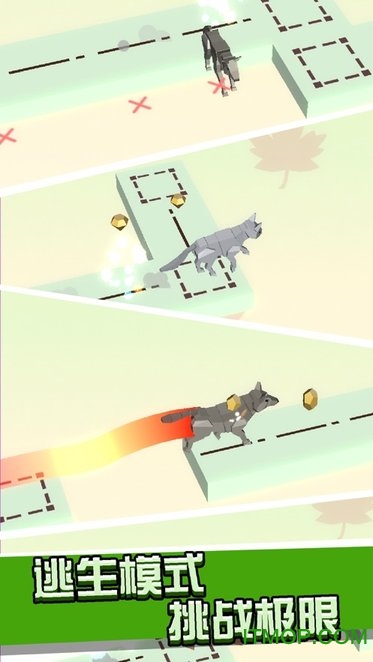 Animal Run