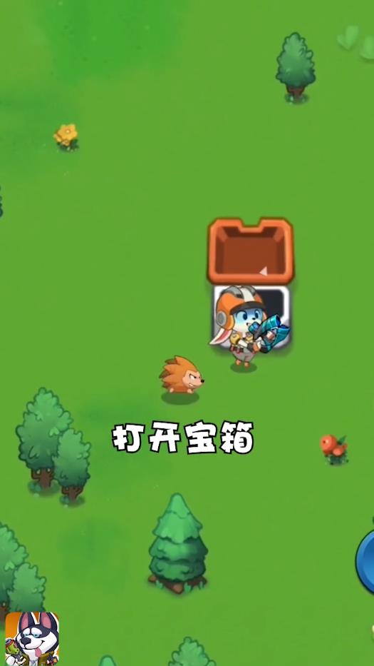 丛林小队：拯救动物