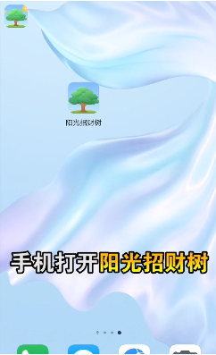 阳光招财树