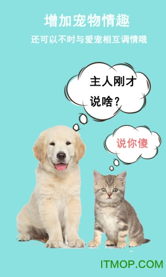 猫狗语言交流器