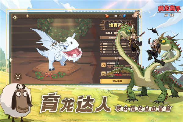 驯龙高手