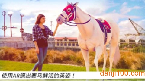 泥塑小马大挑战