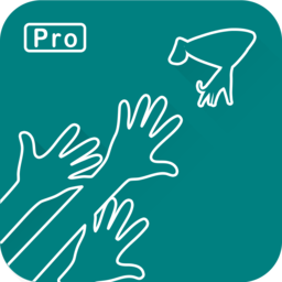 小安京东库存Pro