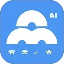 智云e票