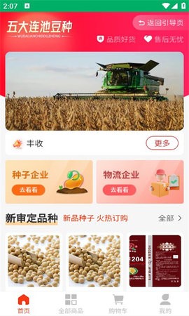 连池豆种 连池豆种