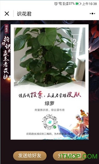 拍照识花君