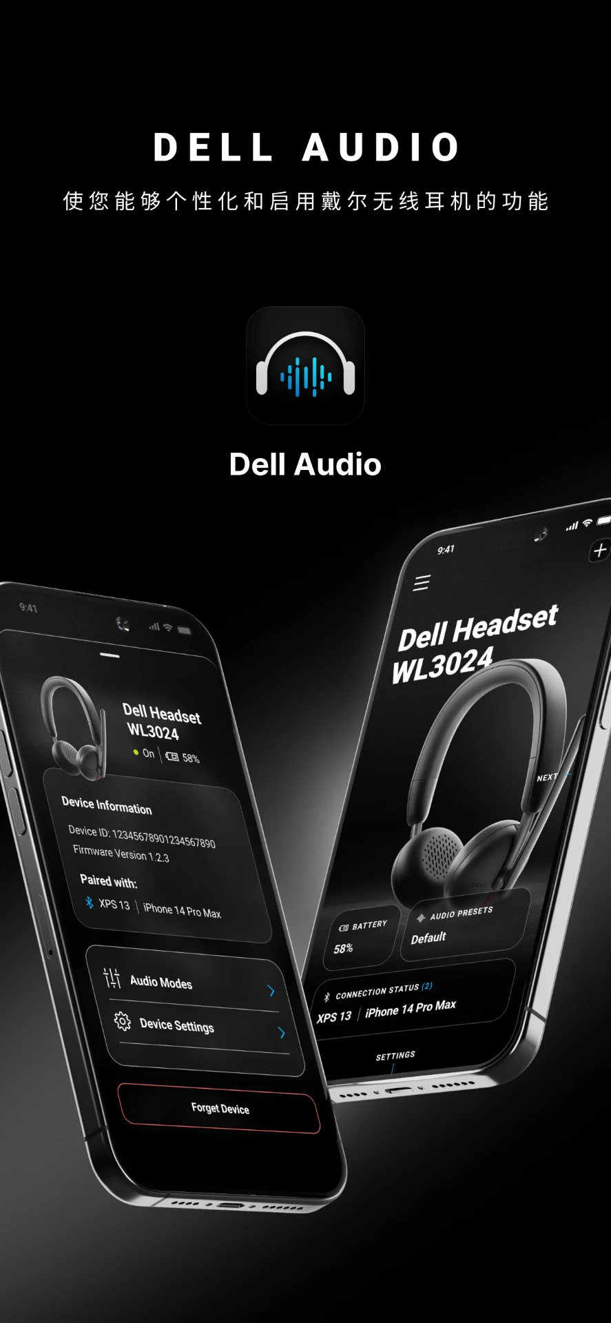 Dell Audio 软件