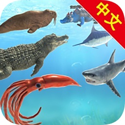 海洋战斗模拟器