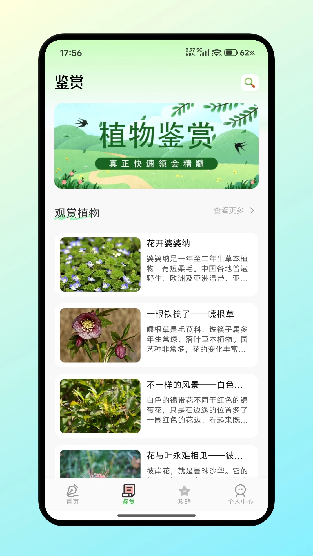 用心花
