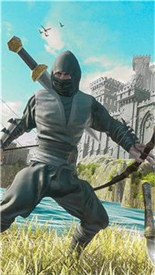 忍者刺客武士 忍者刺客武士