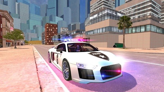 R8 Police Car Driving