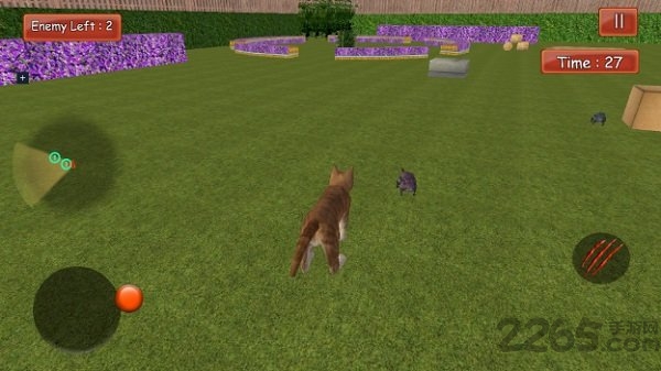 疯狂的猫与老鼠