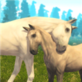 骑马世界模拟器 (Horse Simulator)最新版v1.1.2